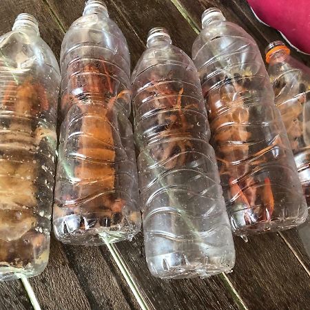 Spheredivers Scuba & Leisure Mabul Island 외부 사진
