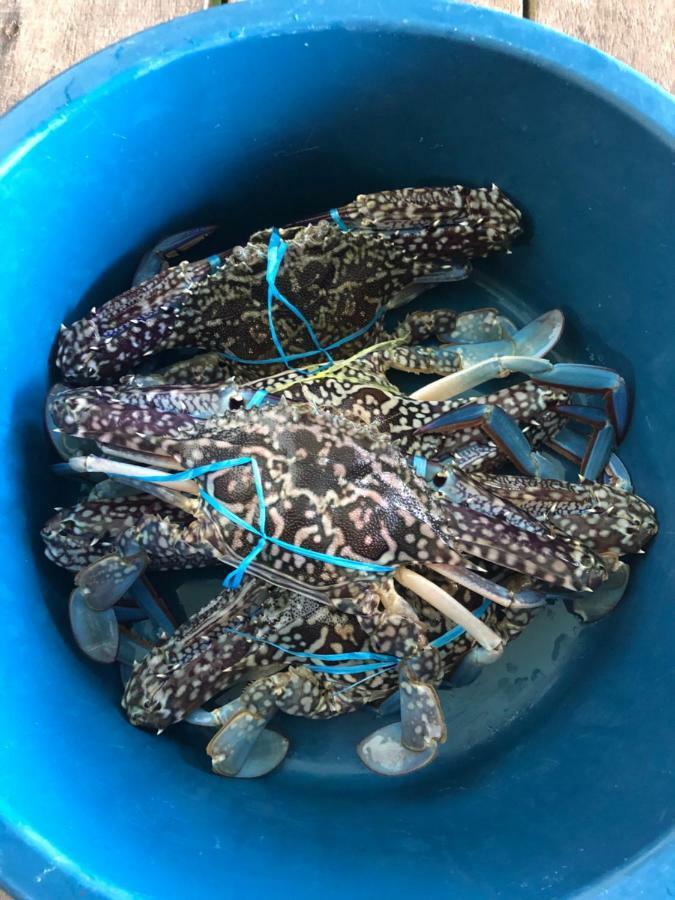 Spheredivers Scuba & Leisure Mabul Island 외부 사진